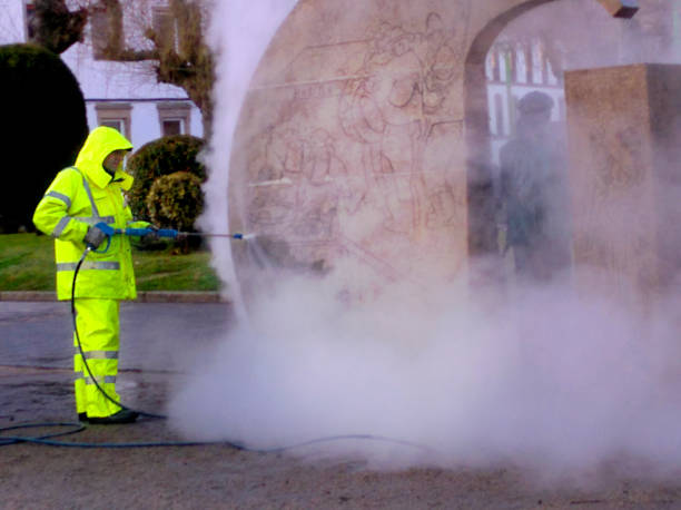 Best Pressure Washing Near Me  in Landover Hills, MD